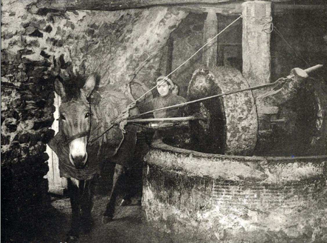 Olive Oil Mill Lejlighed Kokkala Eksteriør billede